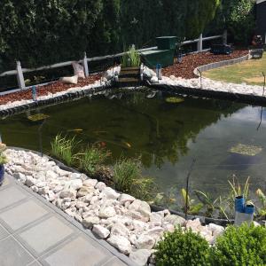 Créations de votre pièces d'eau 