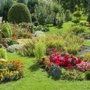 Plantation de parterres et de massifs