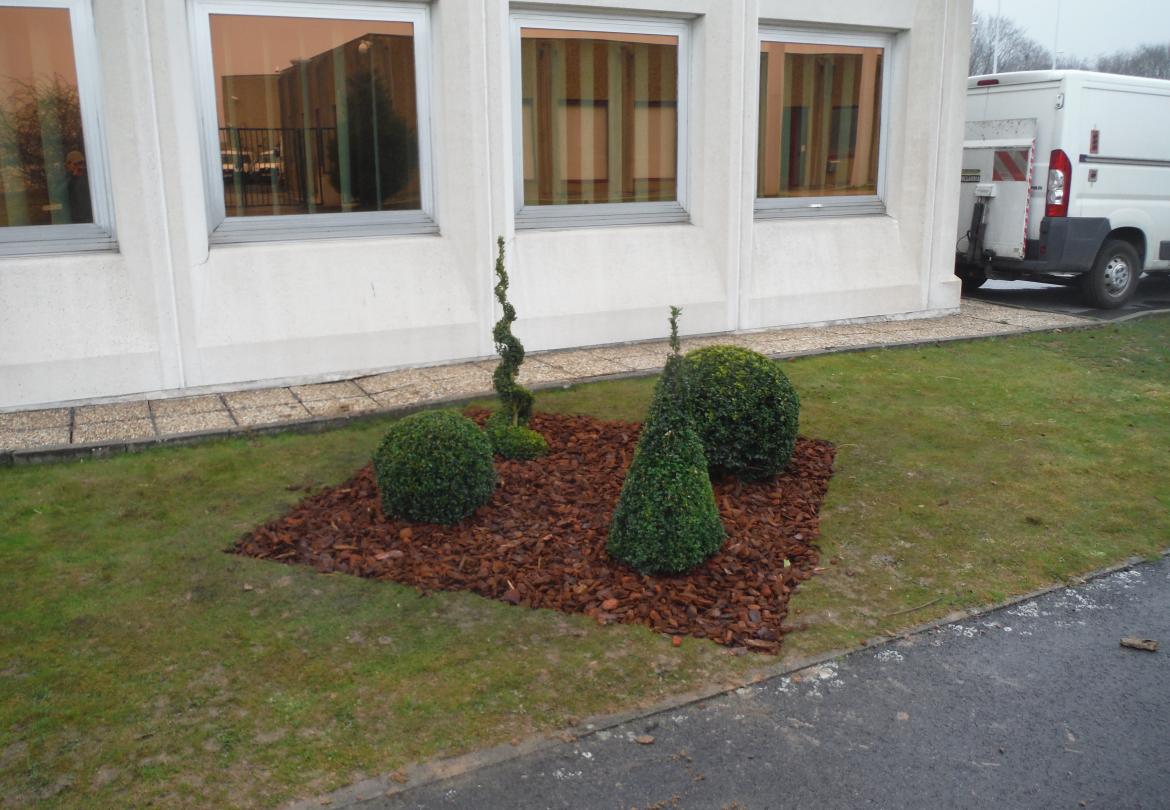 Plantation et massif