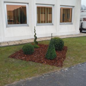 Plantation et massif