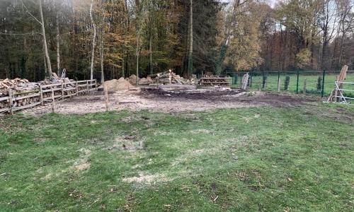 Abattage - Elimination de branchages et feuilles